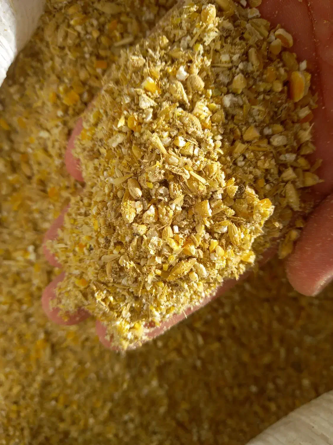 جو آسیاب|خوردنی و آشامیدنی|دره شهر, |دیوار