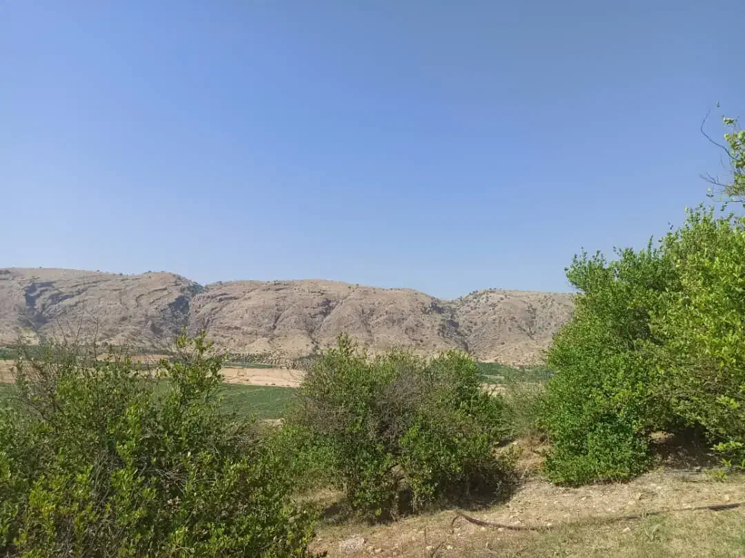 3000متر باغ لیمو|فروش خانه و ویلا|بوستان, |دیوار