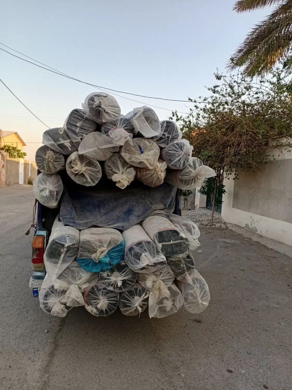 طرح تعویض درمحل فرش های نو با دست دوم|فرش|جیرفت, |دیوار