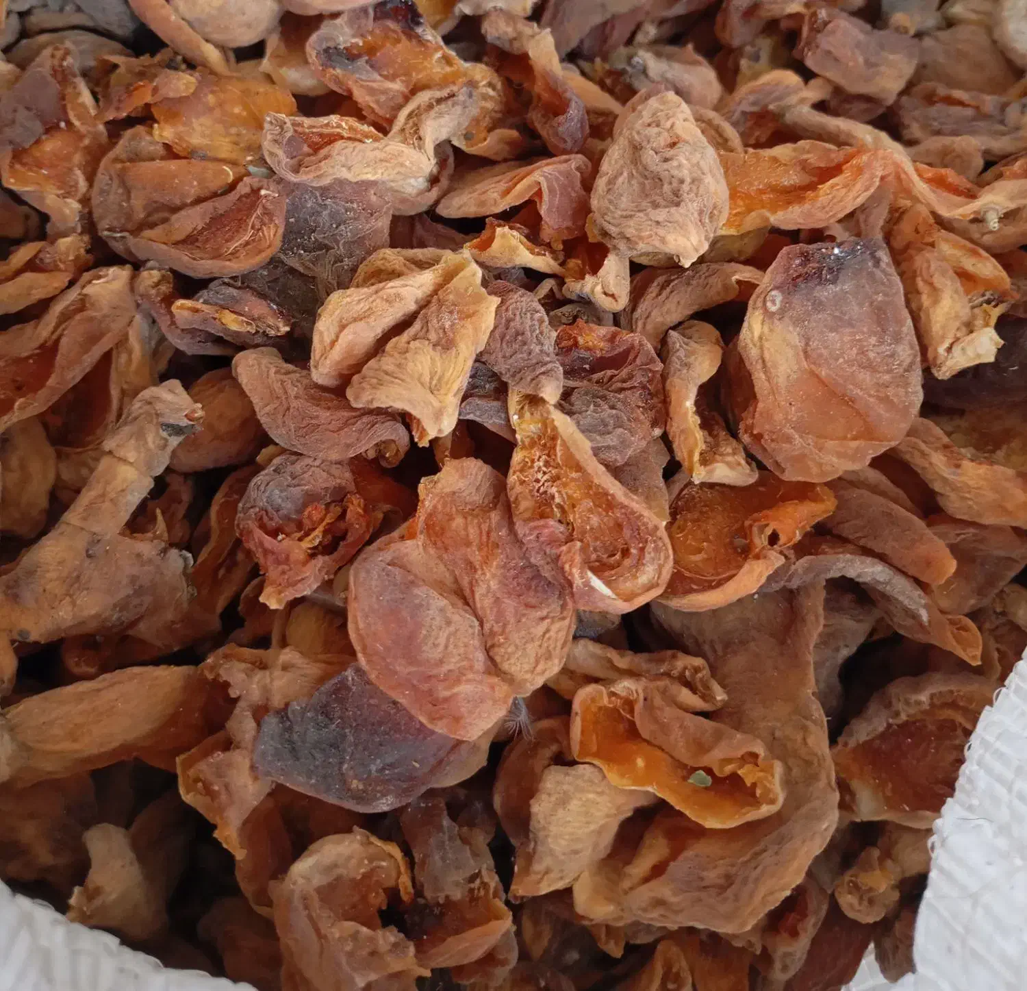 زرد آلو خشک|خوردنی و آشامیدنی|ایجرود, |دیوار