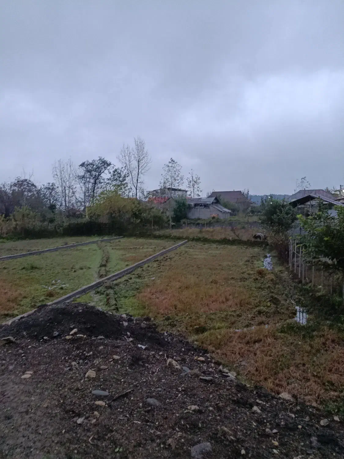 زمین مسکونی تو لفور چسبیده به جنگل هیرکانی|فروش زمین و ملک کلنگی|آلاشت, |دیوار