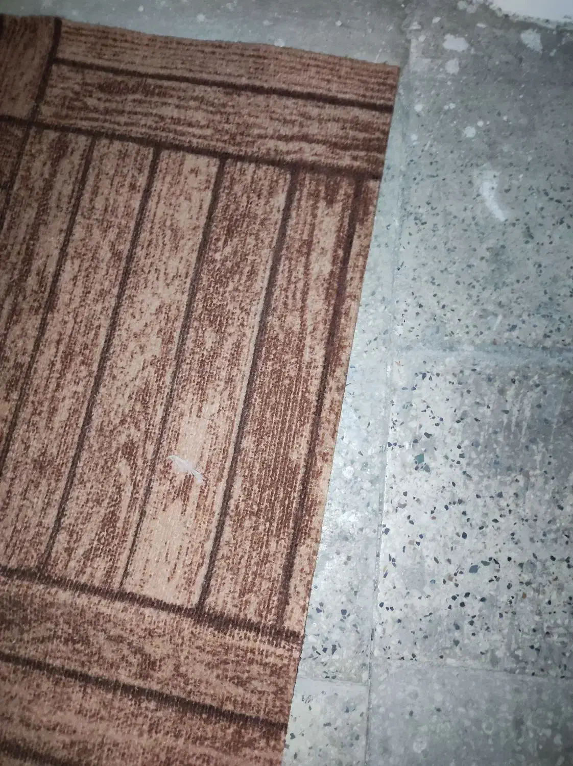 2عدد موکت و۱عدد قالیچه به فروش می رسد.|موکت|تهران, کرمان|دیوار