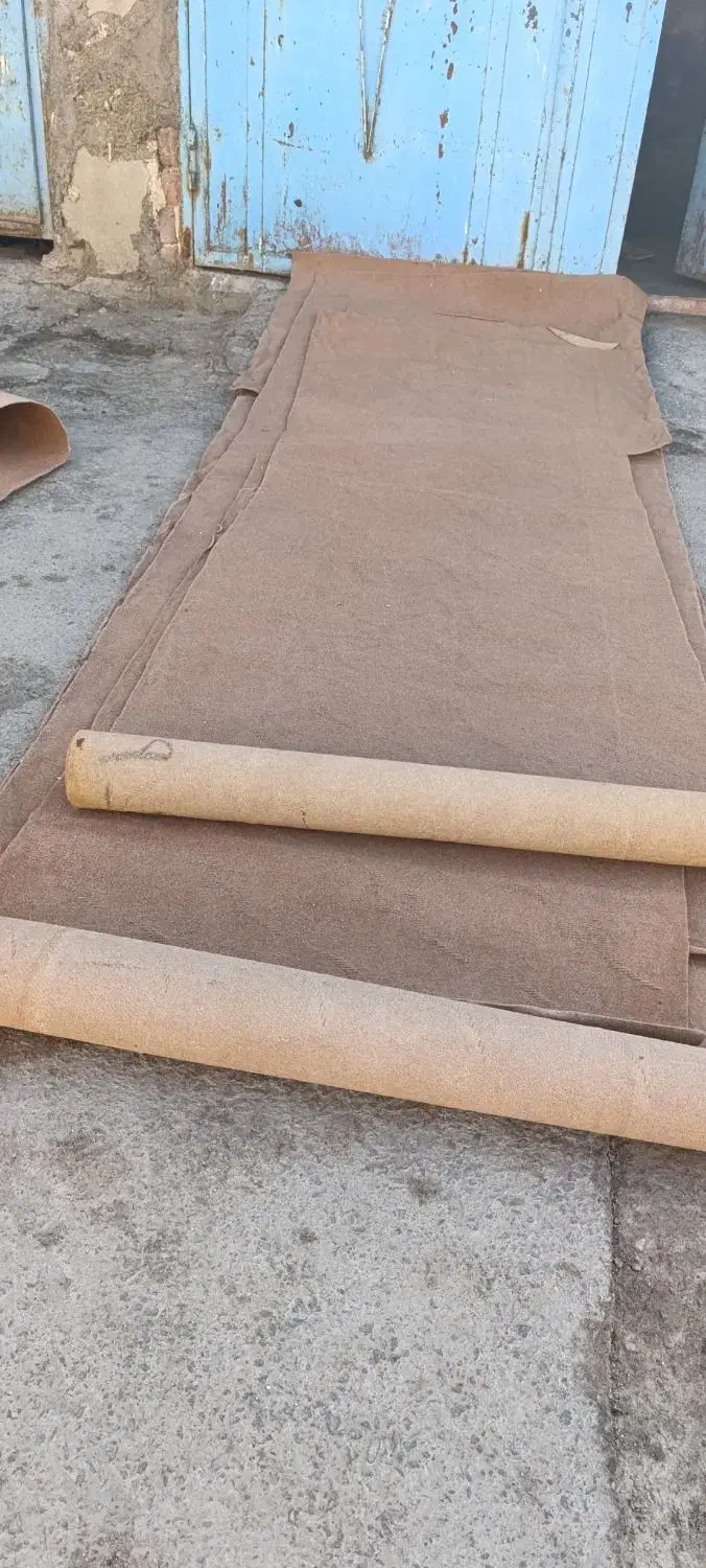 موکت|موکت|زاهدان, |دیوار