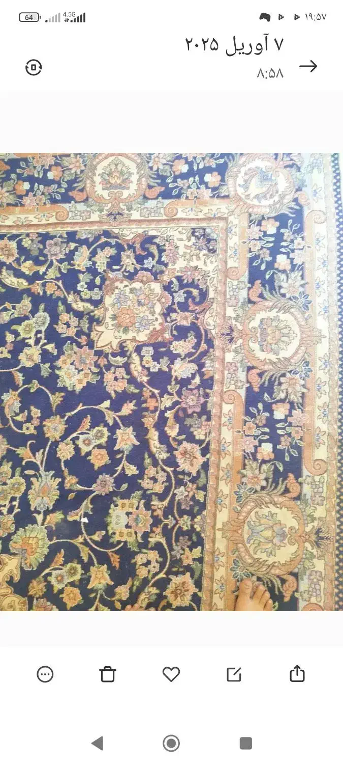 دوعددروفرشی نه متری|روفرشی|مشهد, گاز|دیوار