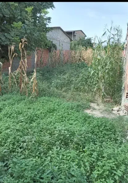 زمین خانه سری|فروش زمین و ملک کلنگی|نوکنده, |دیوار