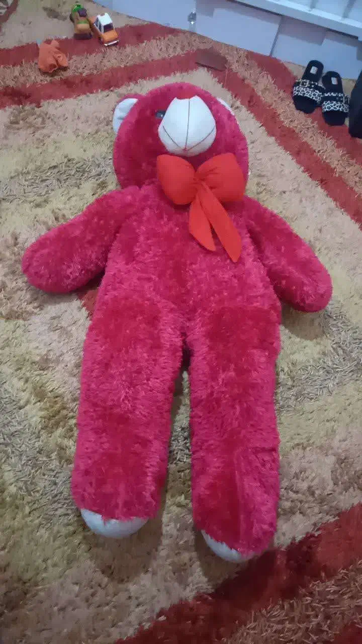 خرس|اسباب‌‌بازی|قم, نیروگاه|دیوار