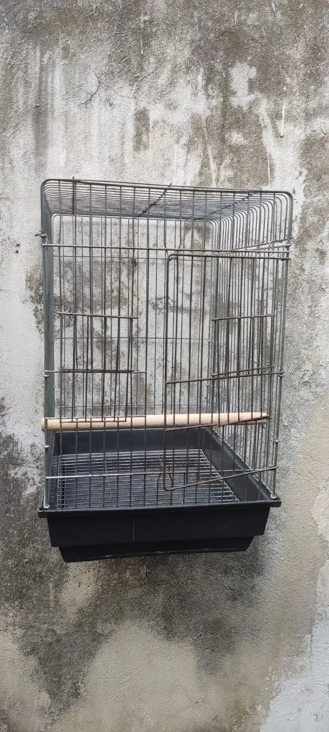 قفس بزرگ مخصوص طوطی سانان|لوازم جانبی حیوانات|رشت, آب و برق|دیوار