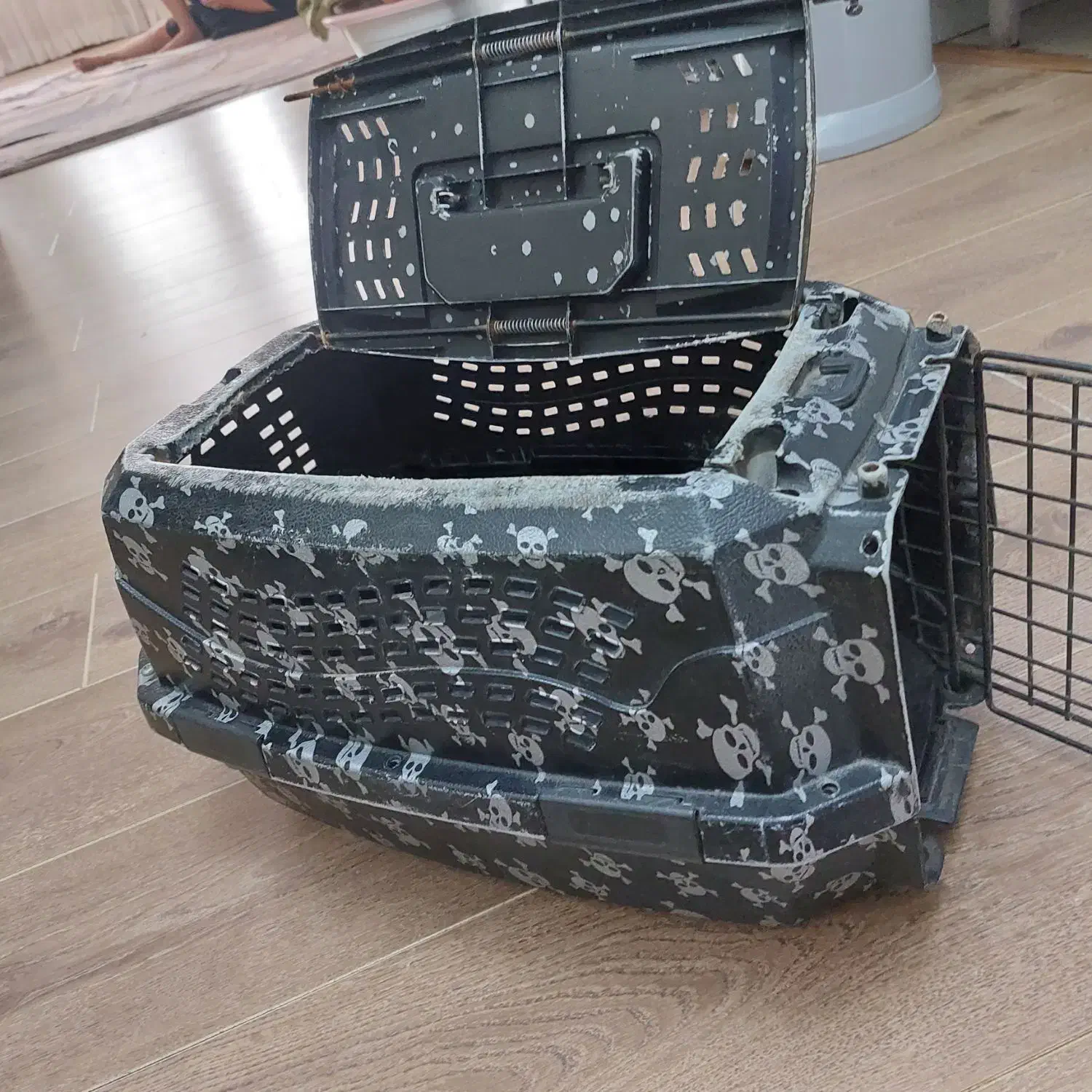 باکس سگ و گربه|لوازم جانبی حیوانات|لاهیجان, گلستان|دیوار