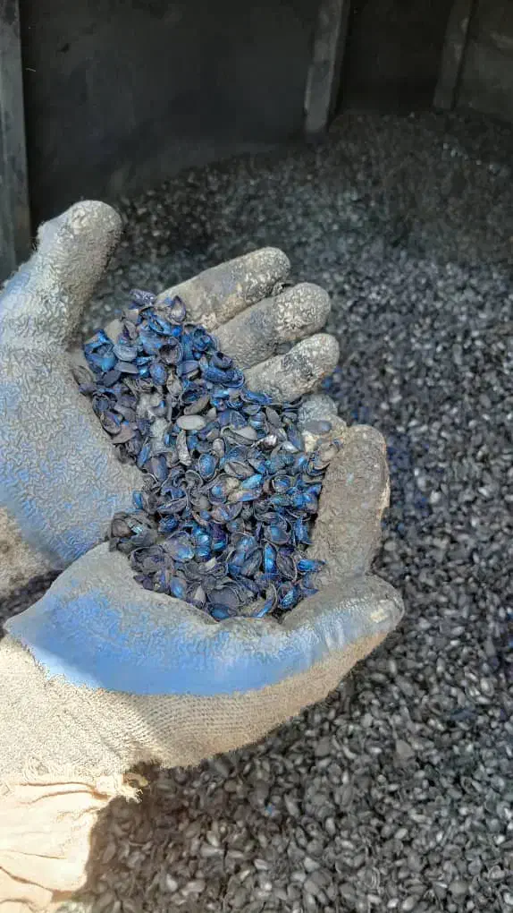 خریدار پوست پسته|خدمات باغبانی و درختکاری|کاشمر, |دیوار