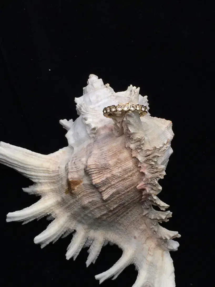 بدلیجات|بدلیجات|بندر انزلی, خوش پیک|دیوار