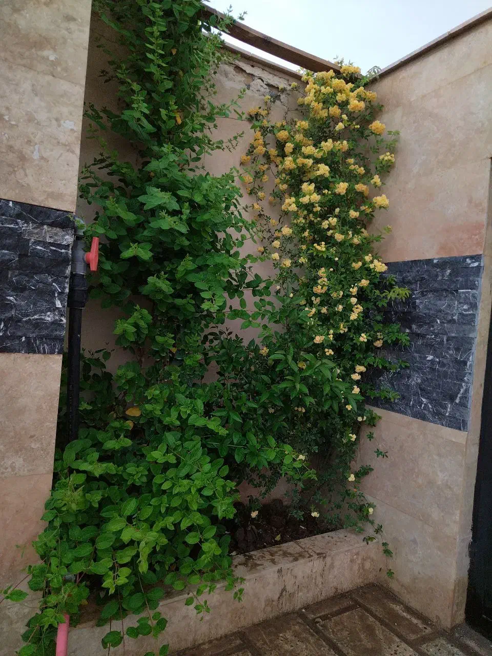 خانه ویلا 500 متری مجتمع گوهر هشتم|فروش خانه و ویلا|مشهد, کلاکوب|دیوار