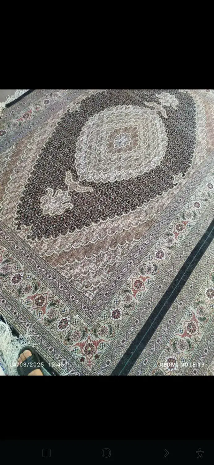 ریز ماهی چهل رج جفت اندازه ۲ در ۳|فرش|خوی, |دیوار