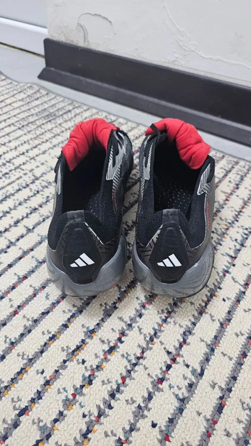 کفش فوتبال آدیداس پردیتور|کیف، کفش، کمربند|بابلسر, |دیوار