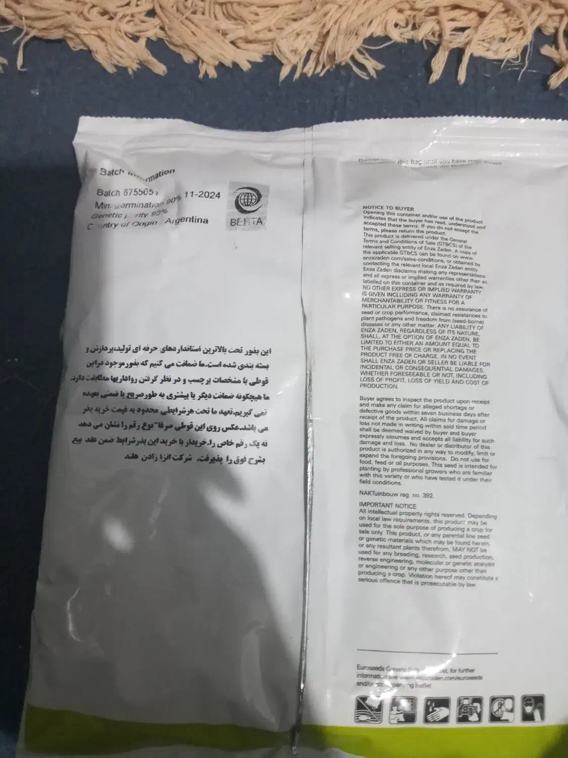 بذر پیاز مینروا|گل و گیاه طبیعی|جیرفت, |دیوار