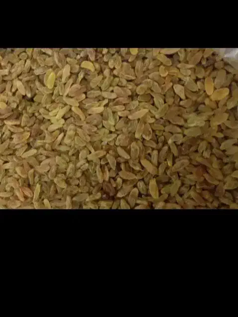 کشمش سبز|خوردنی و آشامیدنی|سبزوار, توحیدشهر|دیوار