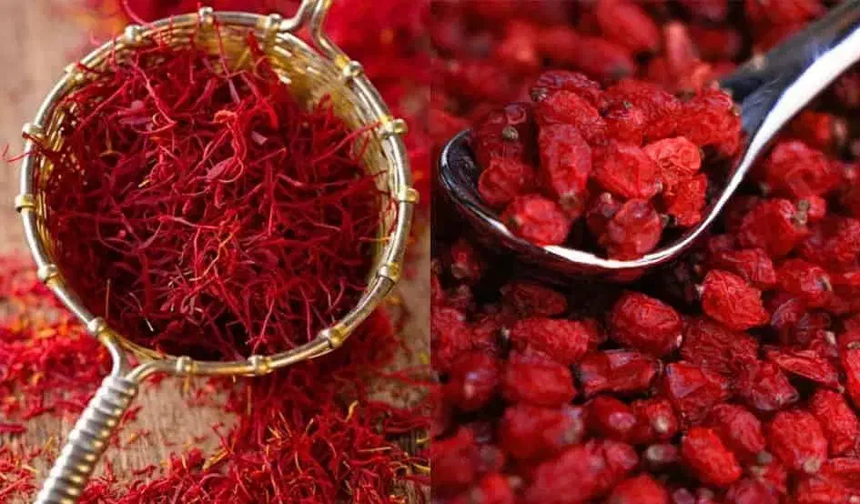 زعفران و زرشک تازه قاینات|خوردنی و آشامیدنی|قائن, |دیوار