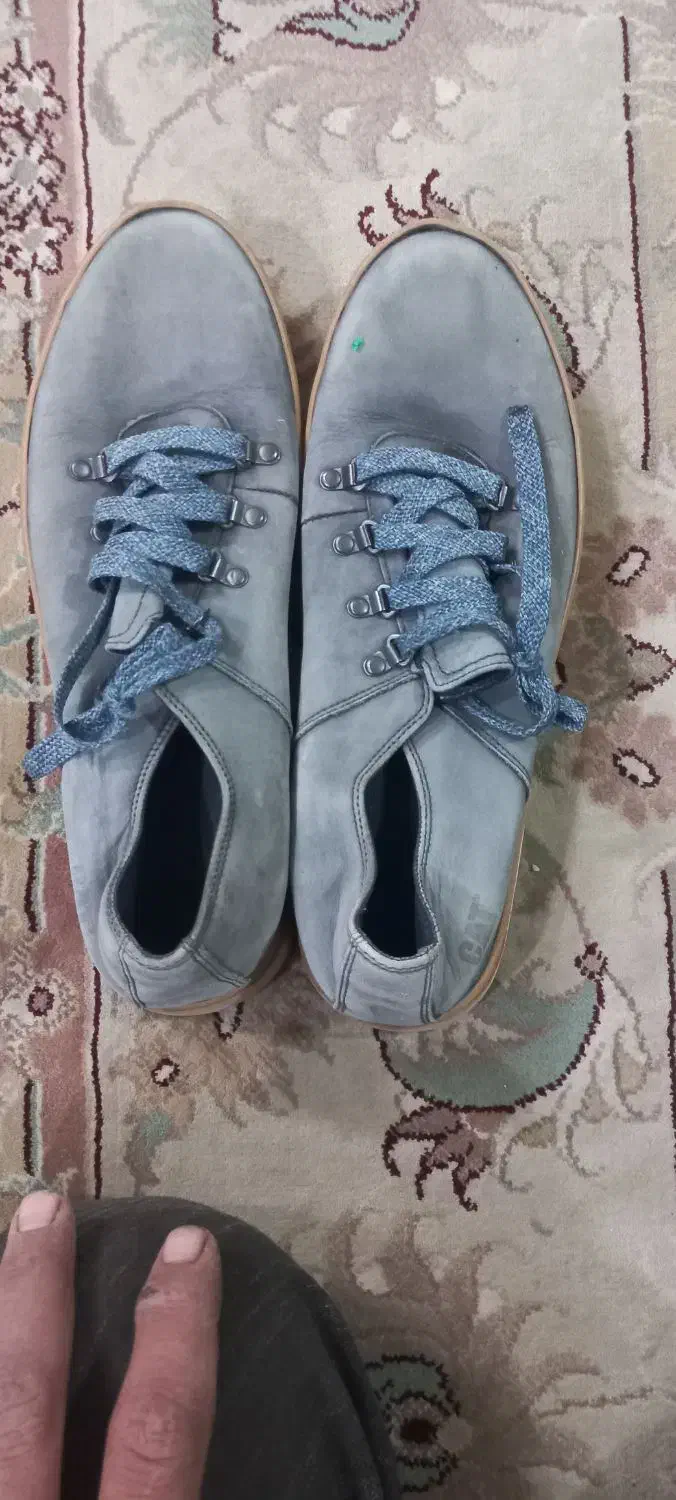 یک جفت کفش خارجی وکفش ودمپایی ایرانی|کیف، کفش، کمربند|شهرضا, |دیوار