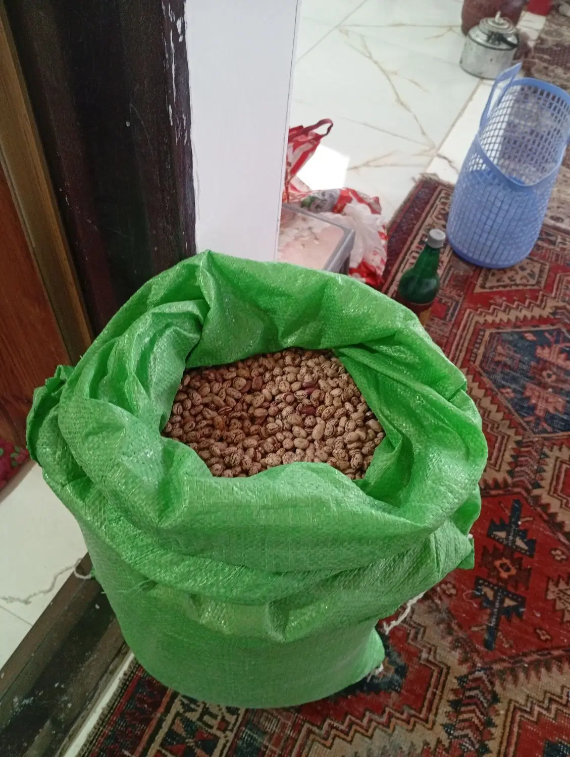 لوبیا|عمدهفروشی|سراب, |دیوار