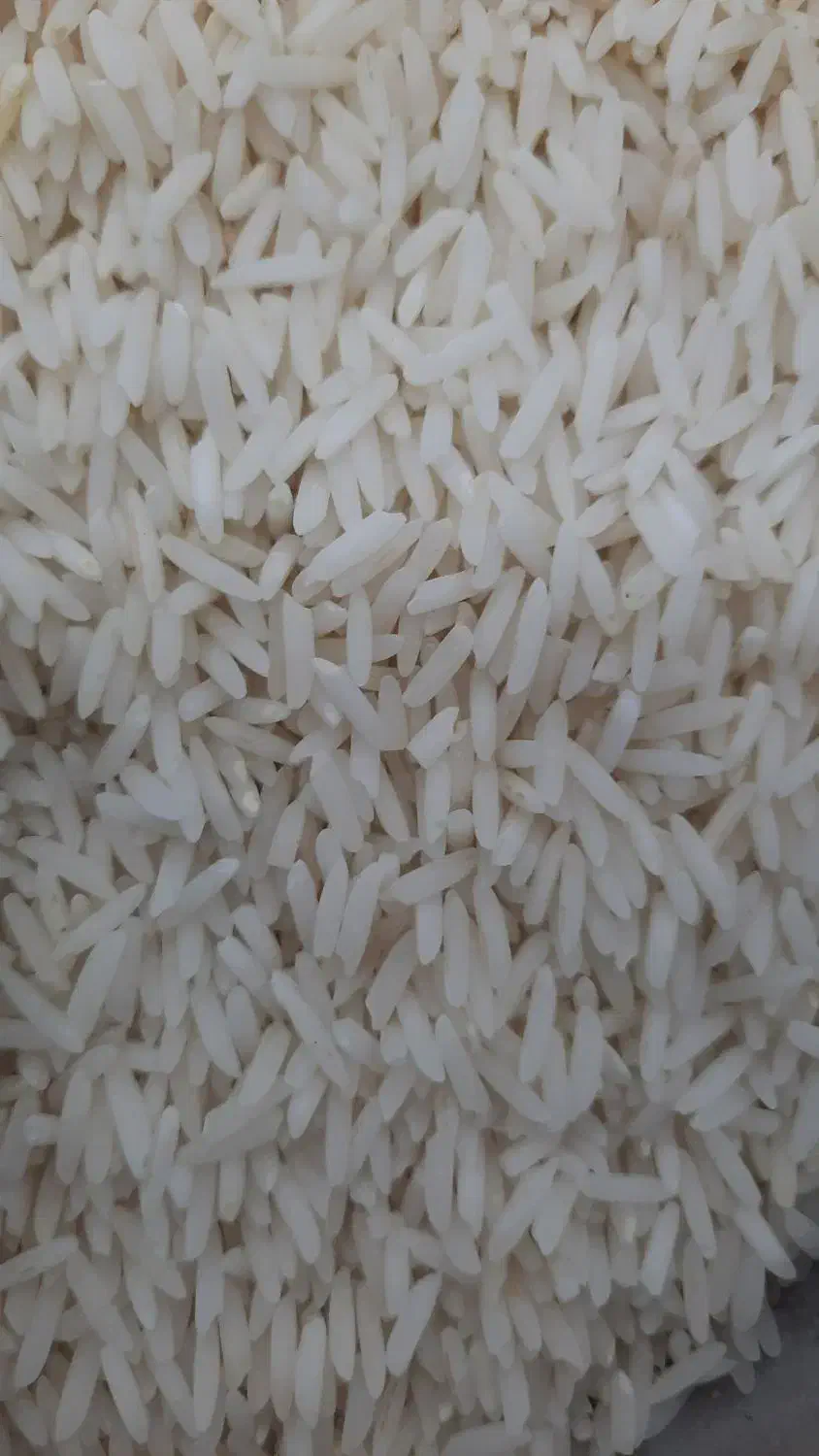 انواع برنج اعلا|خوردنی و آشامیدنی|رشت, پیرسرا|دیوار