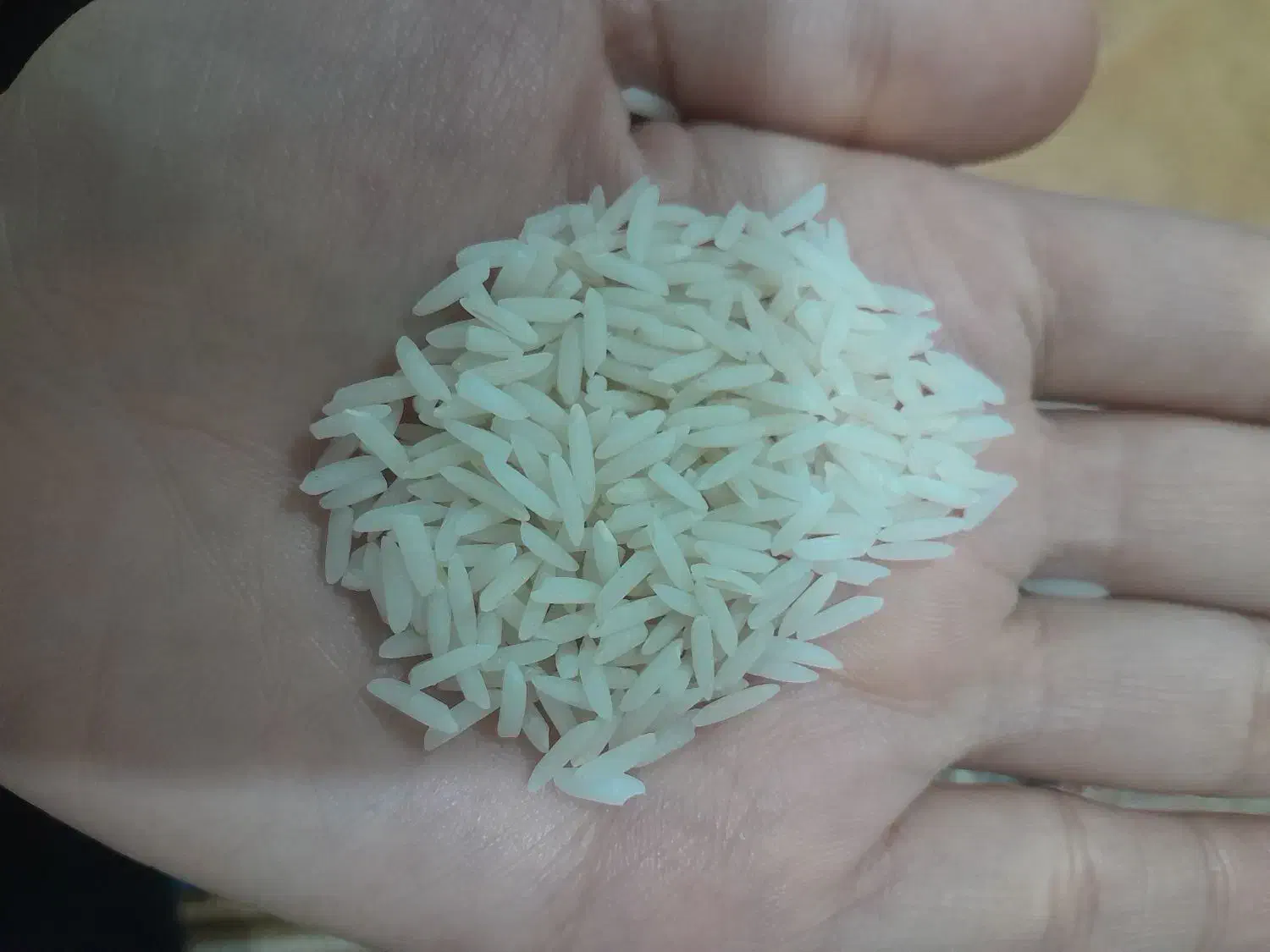 دم سیاه|خوردنی و آشامیدنی|رشت, سلیمانداراب|دیوار