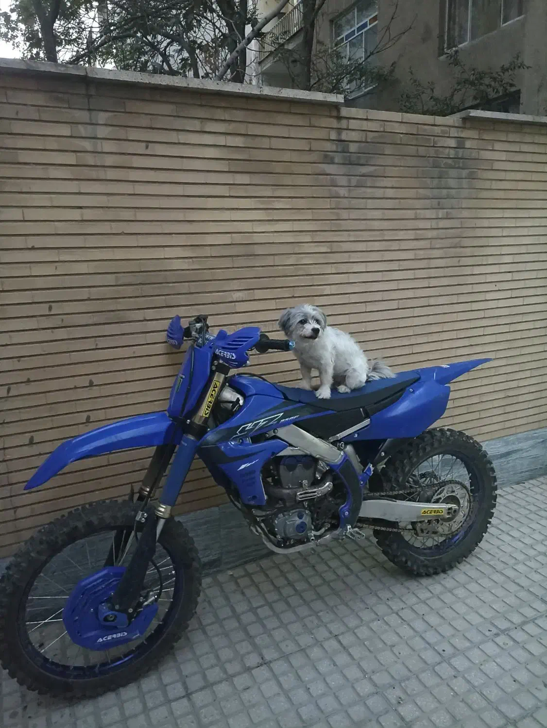 YZF250|موتورسیکلت|تهران, آهنگران (سراسیاب دولاب)|دیوار