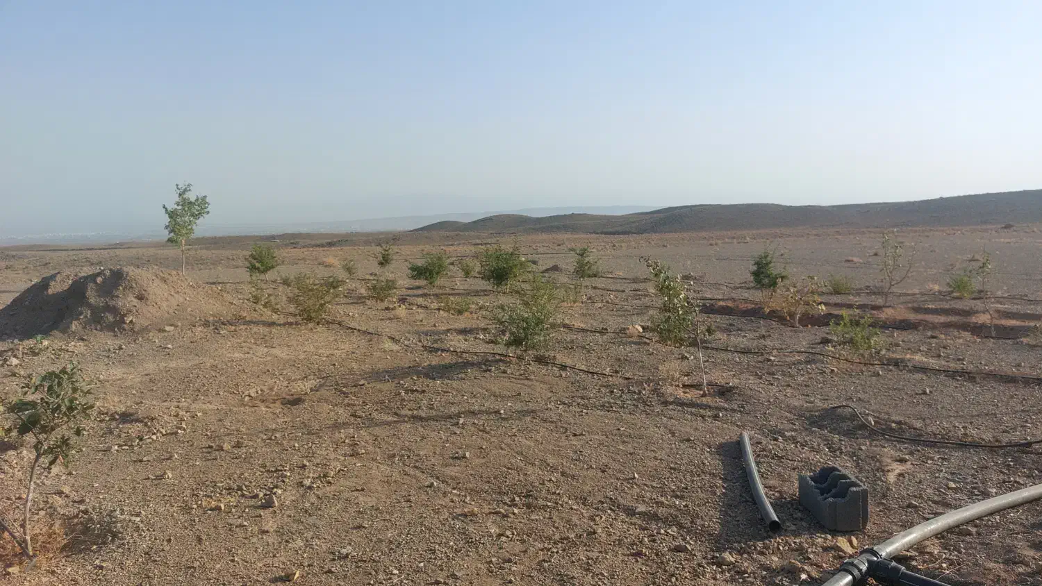باغ ویلا ۱۰۰۰ متری در کوهستان سیلیجرد|فروش دفتر صنعتی، کشاورزی، تجاری|ساوه, |دیوار