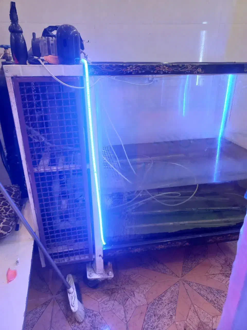 آکواریم ماهی غزل|ماهی|تیران, |دیوار