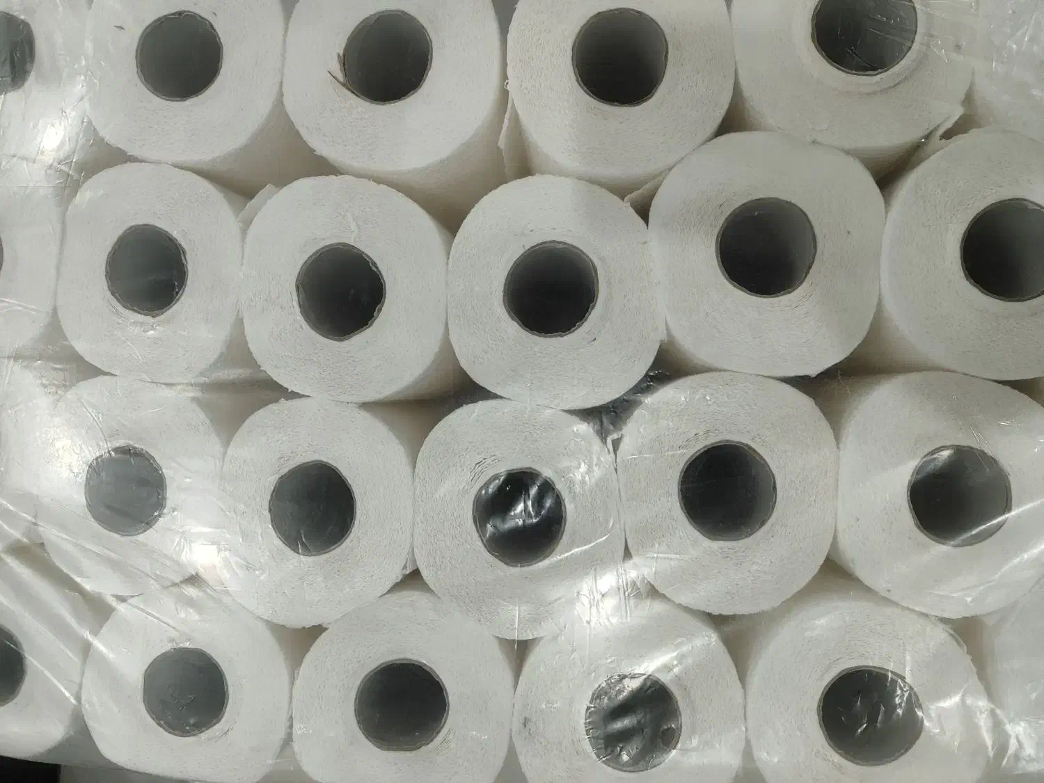 دستمال رولی کاغذی مارک ایزی پیک|مواد شوینده و دستمال کاغذی|کرج, باغ سیب|دیوار