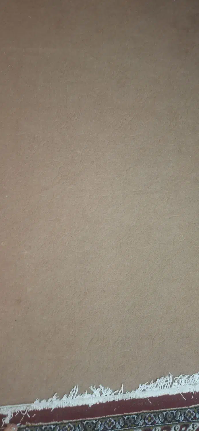 موکت قهوه ای سالم|موکت|همدان, |دیوار