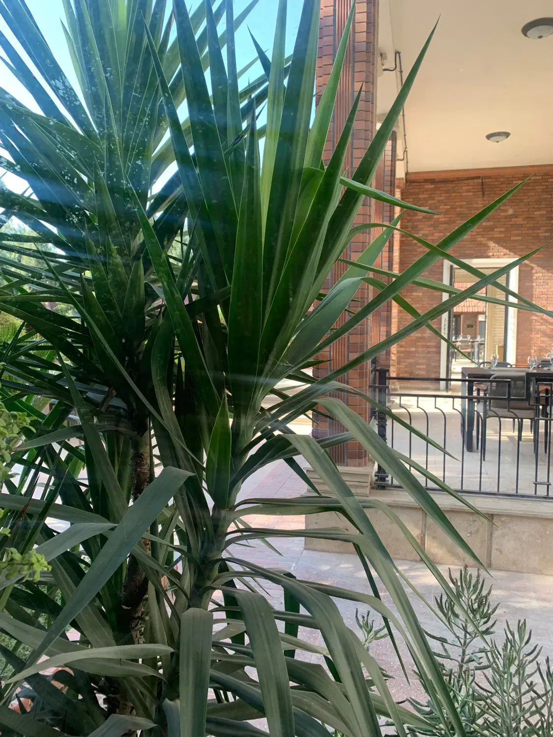 استخدام حسابدار|استخدام مالی، حسابداری، حقوقی|گرگان, |دیوار