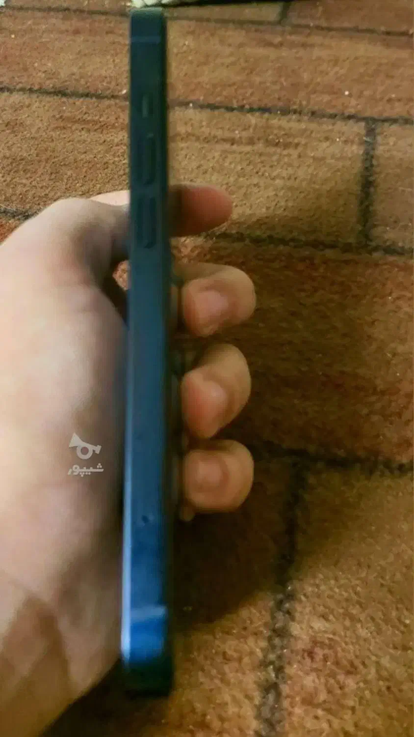 ایفون ۱۳ ۲۵۶ گیگ|موبایل|ساری, |دیوار