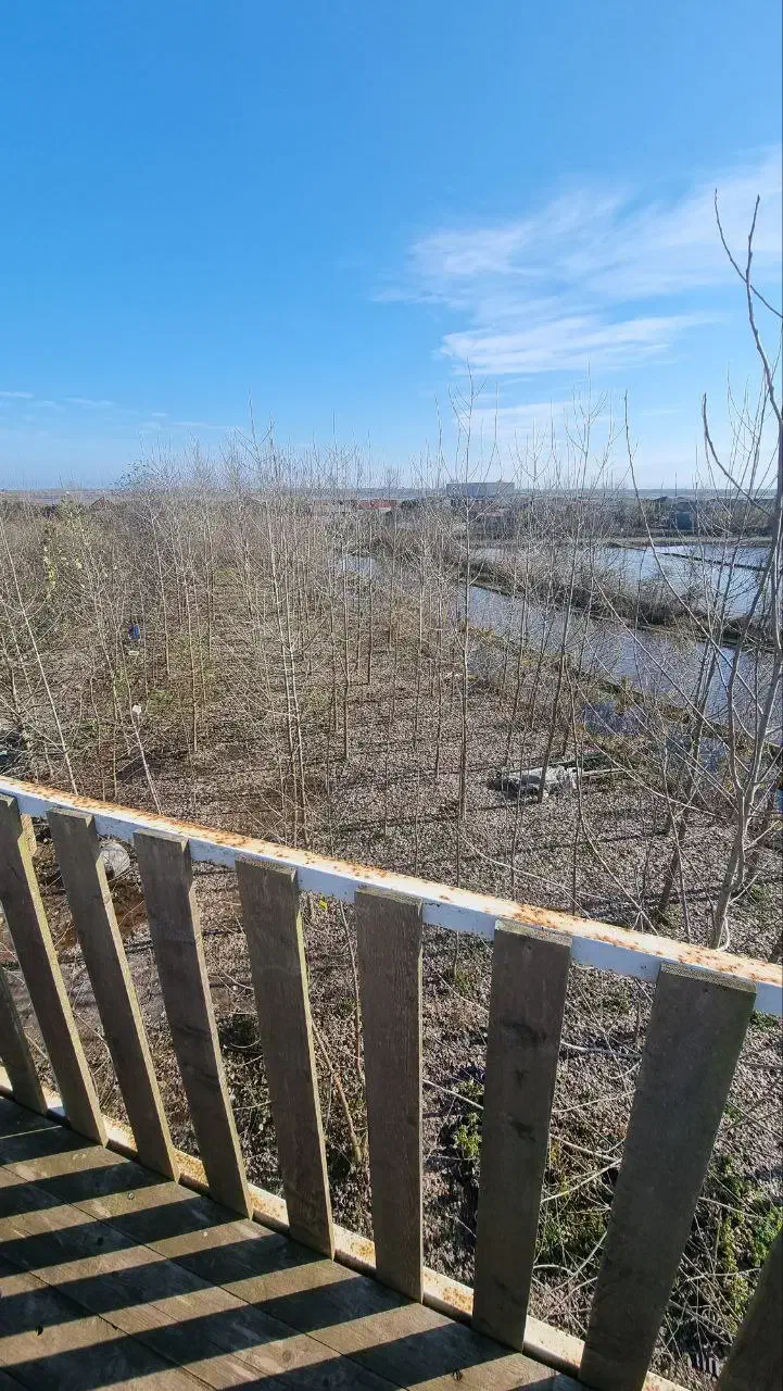 لمس چوب و عطر خوش باران را تجربه کن|فروش خانه و ویلا|گرمدره, |دیوار