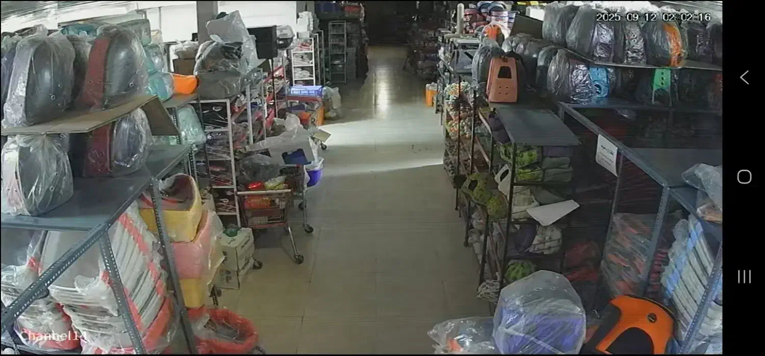 عمده فروشی پت شاپ با امکان خرید حضوری|لوازم جانبی حیوانات|تهران, بازار|دیوار