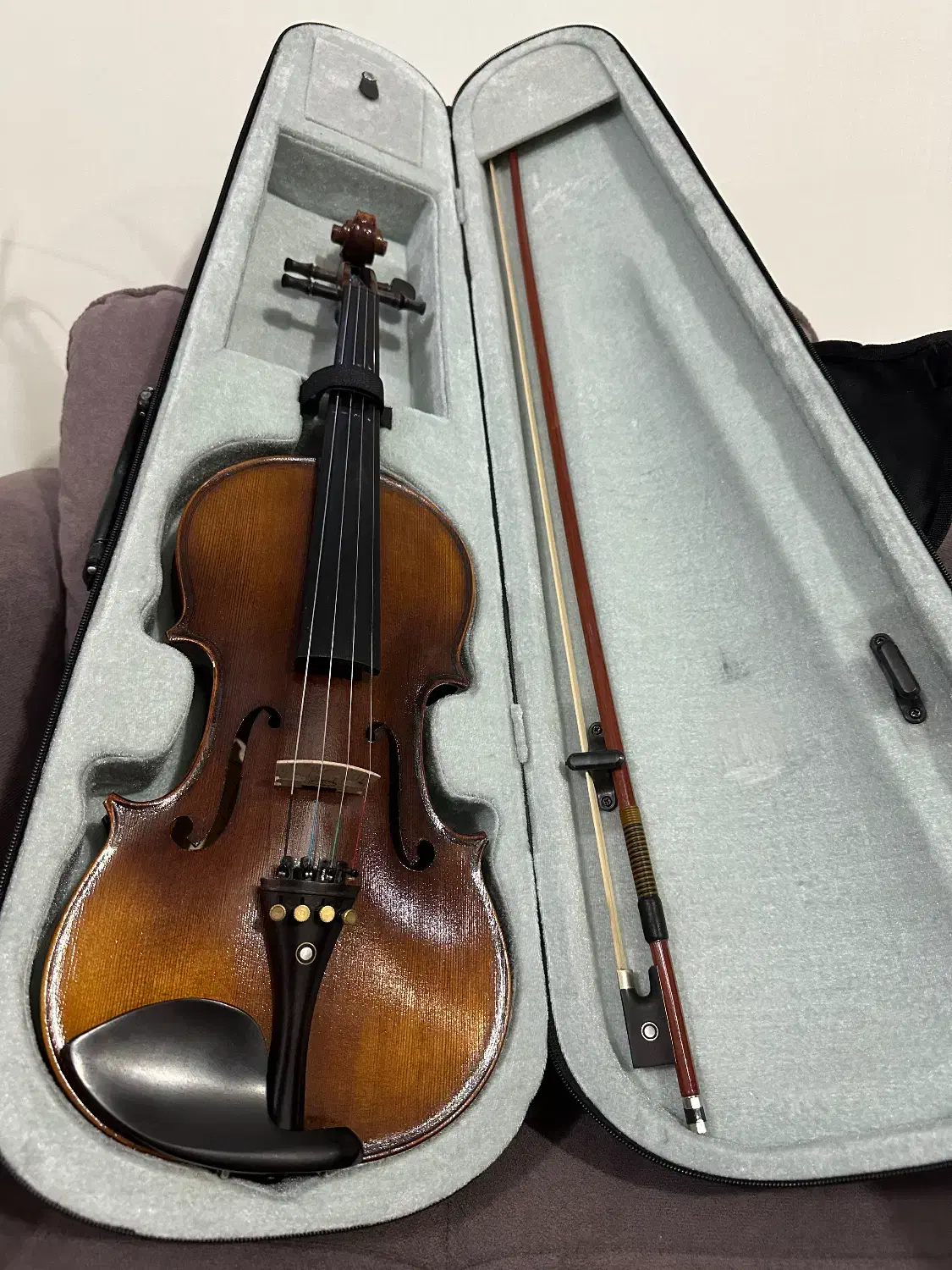 ویولون ۴/۴ ویوالدی|ویولن|مشهد, تربیت (صدف)|دیوار