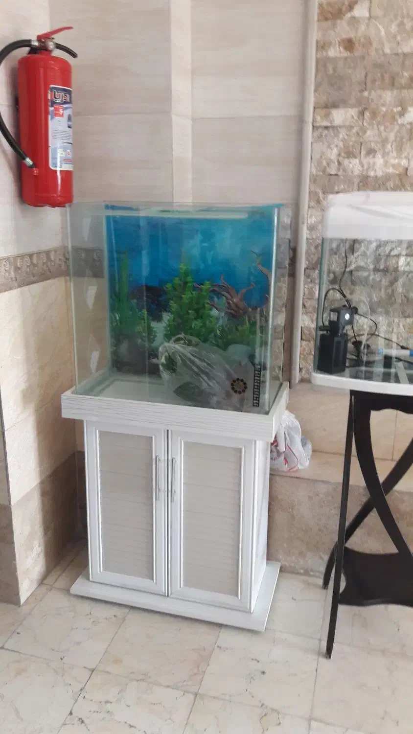 آکواریوم|ماهی|پردیس, فاز ۴|دیوار