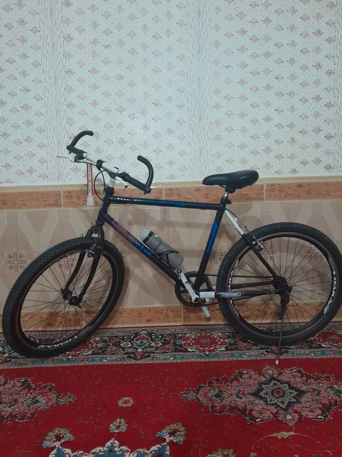 دوچرخه آساک دماوند تک سرعت|دوچرخه، اسکیت، اسکوتر|شیروان (خراسان), |دیوار