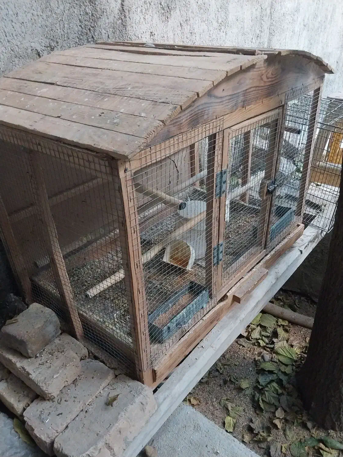 قفس چوبی|لوازم جانبی حیوانات|کرج, شهرک سهرابیه|دیوار