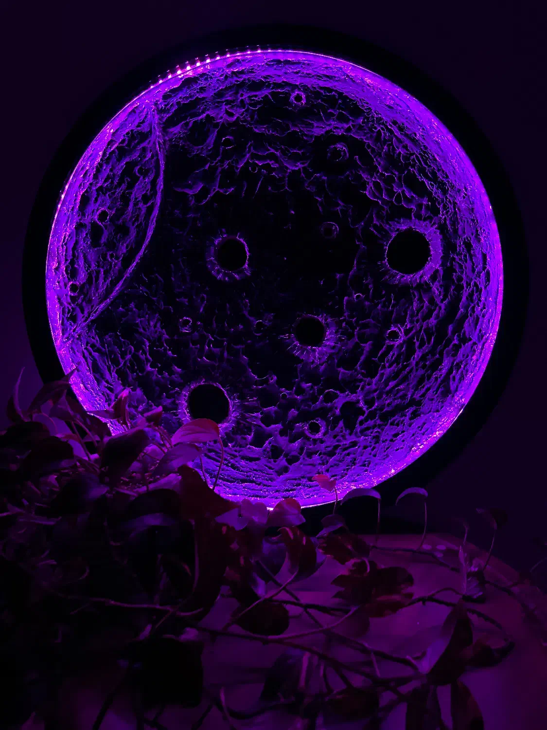 دکوراتیو|صنایع دستی و سایر لوازم تزئینی|رشت, توشیبا|دیوار