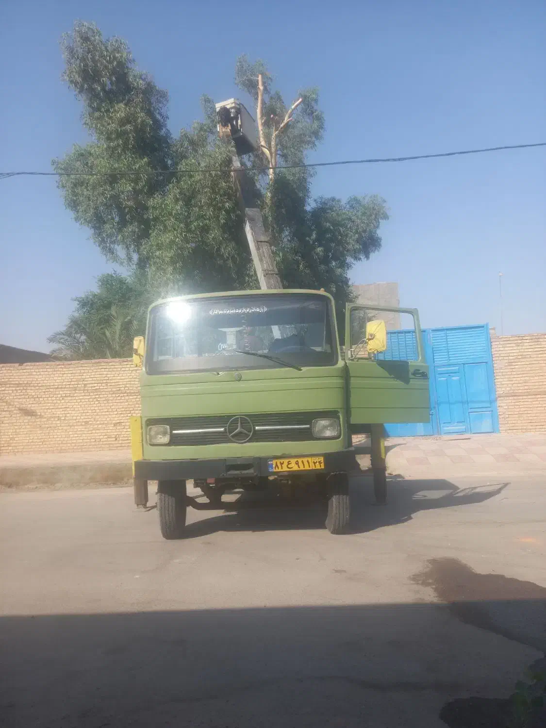 برش وهرس درختان مزاحم ادارات ومنازل شخصی|خدمات باغبانی و درختکاری|آبادان, |دیوار