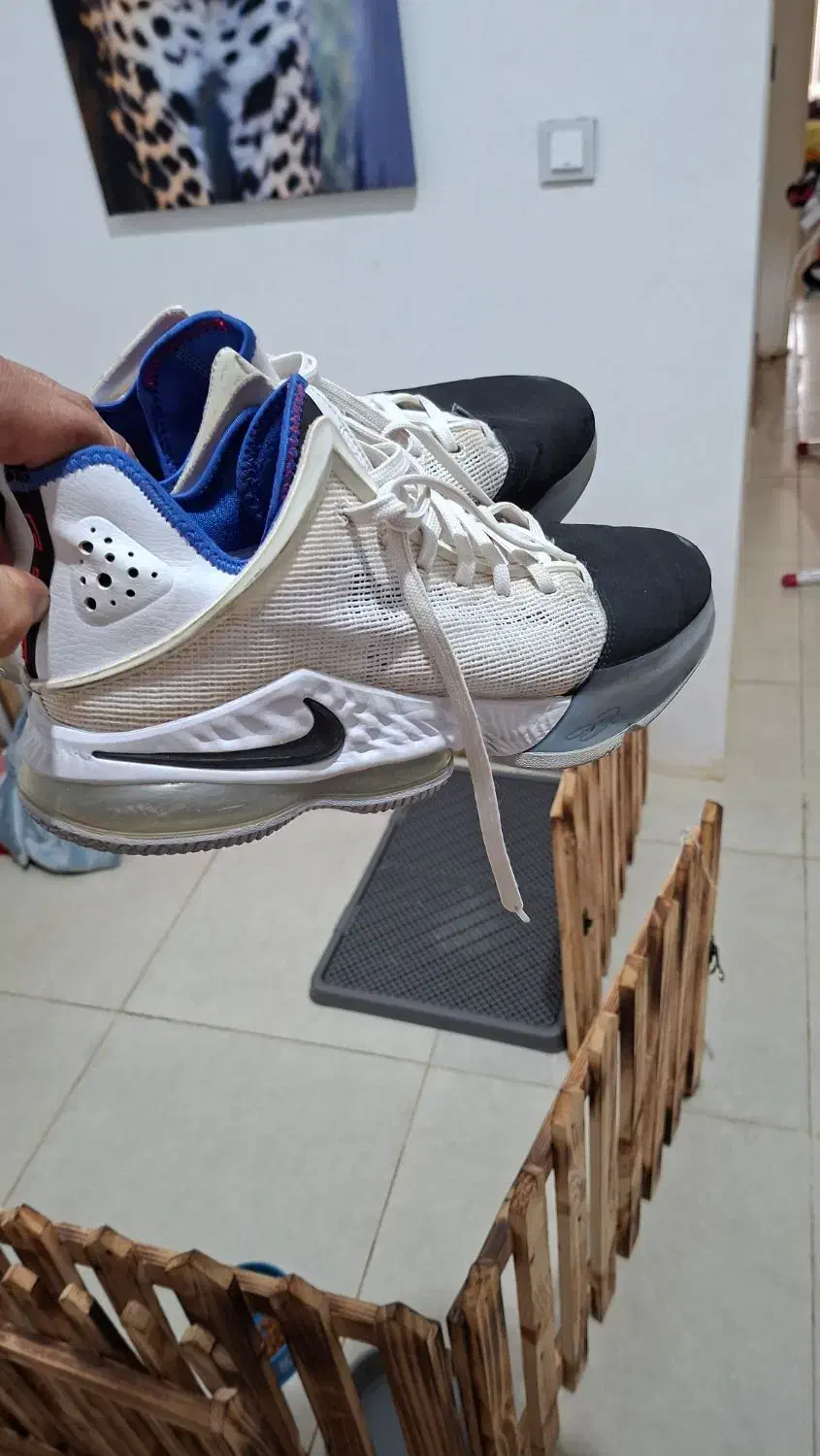 کتونی نایکی|کیف، کفش، کمربند|بندرعباس, |دیوار