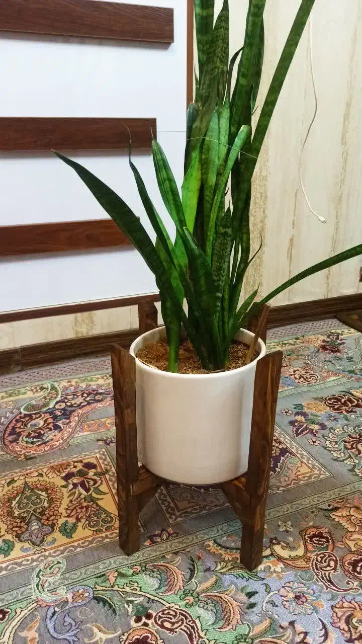 انواع پایه گلدان چوبی|گل و گیاه طبیعی|قم, شاه ابراهیم|دیوار