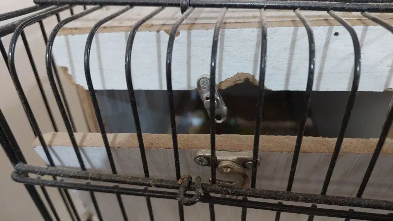 فروش قفس و وسایل جانبی و پایه|لوازم جانبی حیوانات|تهران, امیریه|دیوار