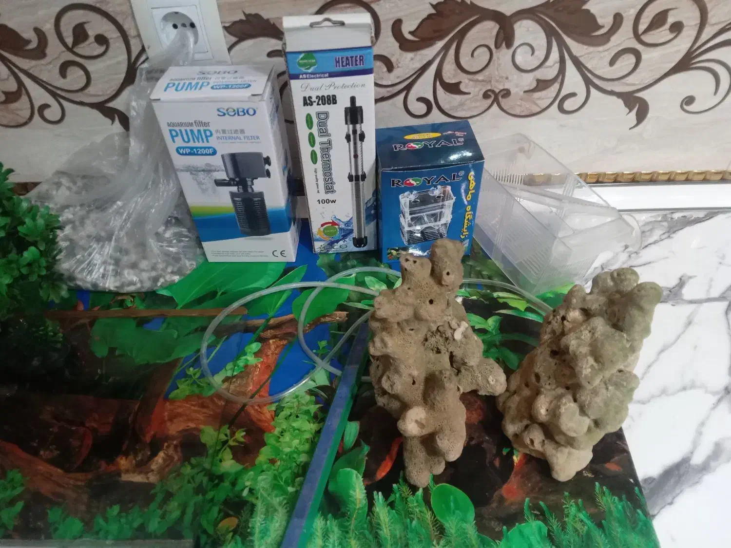 اکواریوم رایگان|ماهی|رباط‌کریم, نصیرشهر|دیوار