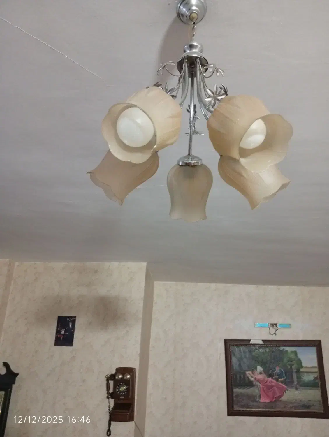 لوستر|لوستر و چراغ آویز|شاندیز, |دیوار