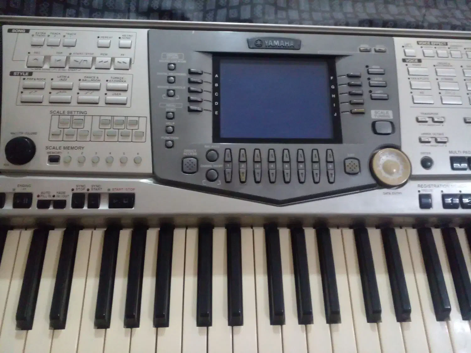 ارگ A1000|پیانو، کیبورد، آکاردئون|بندرعباس, |دیوار