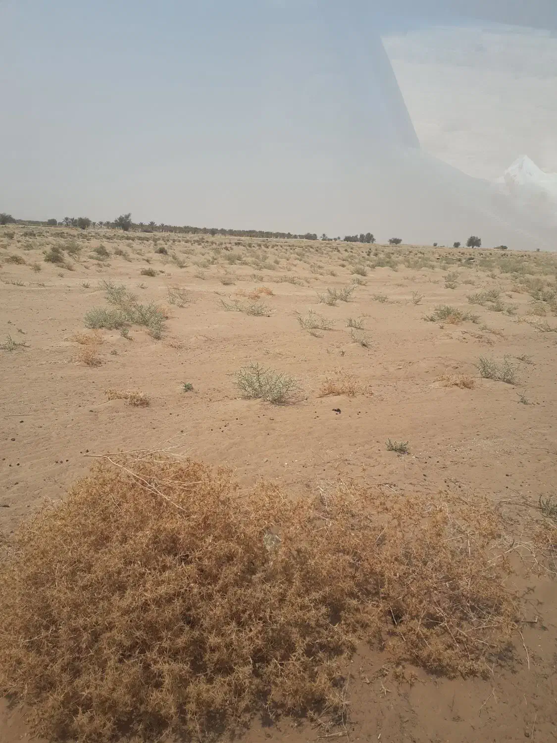 فروش زمین کشاورزی میاندشت قیمت ۱۷۵|فروش دفتر صنعتی، کشاورزی، تجاری|آبپخش, |دیوار