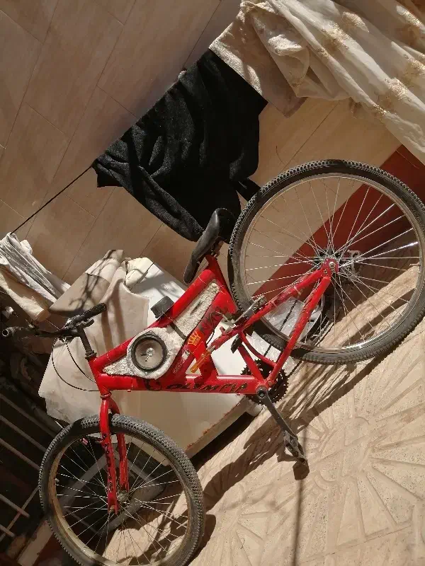 دوچرخه کف خاب|دوچرخه، اسکیت، اسکوتر|بیرجند, |دیوار