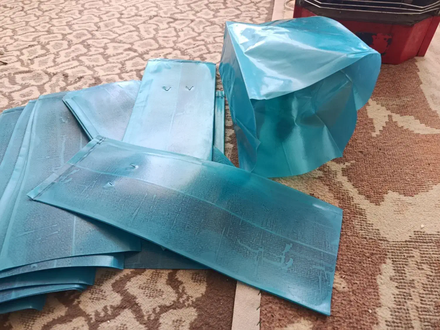 پاکتبزرگریشه|گل و گیاه طبیعی|میاندوآب, |دیوار