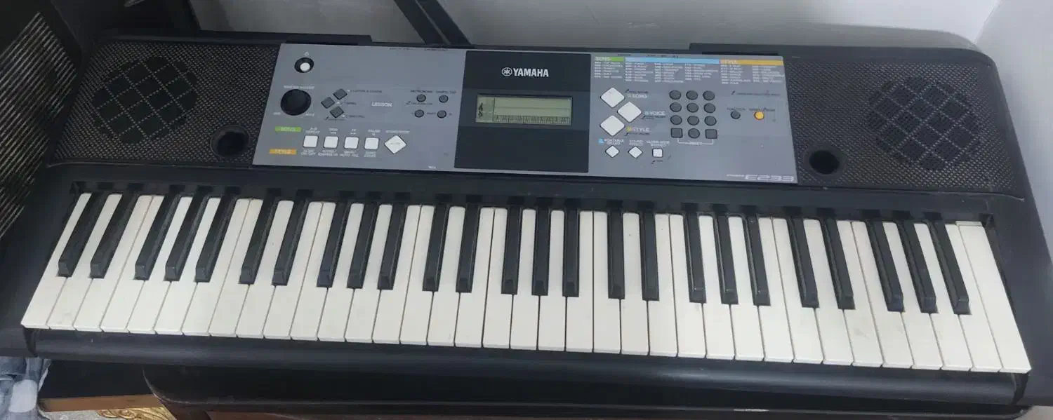 ارگ درحد نو|پیانو، کیبورد، آکاردئون|کاشمر, |دیوار