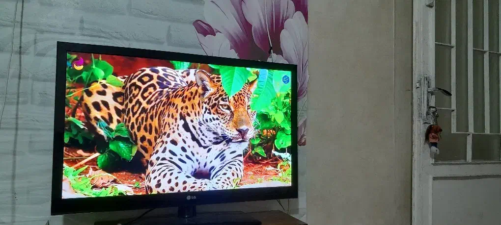 تلویزیون 40اینج دیجیتال سرخودوفلشخور الجی اصل کره|تلویزیون و پروژکتور|مشهد, توس (بلوار توس)|دیوار